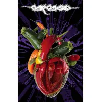Ginza.se Carcass: Textile Poster/Torn Arteries