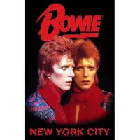 Ginza.se David Bowie: Textile Poster/New York City