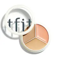 TFIT - Cover Up Pro Concealer - 02 Warm