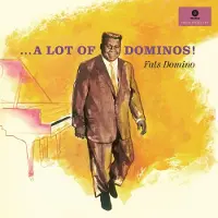 Ginza.se Fats Domino: A Lot of Dominos!