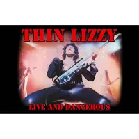 Ginza.se Thin Lizzy: Textile Poster/Live And Dangerous