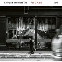 OUTHERE Shinya Fukumori Trio: For 2 Akis