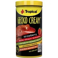 Tropical - Gecko Cream Strawberry 100Ml