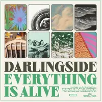 Ginza.se Darlingside: Everything Is Alive