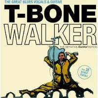 Ginza.se Walker T-Bone: Great Blues Vocals & Guitar