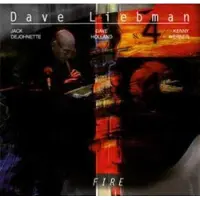 Ginza.se Liebman Dave: Fire