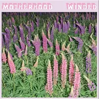 Ginza.se Morterhood: Winded