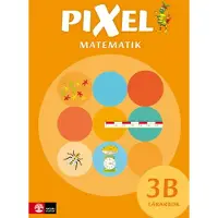 Pixel 3b Lärarbok, Andra Upplagan