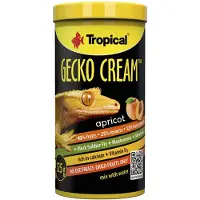 Ginza.se Tropical - Gecko Cream Apricot 100Ml