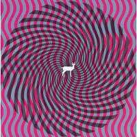 Konkurrent Deerhunter: Cryptograms