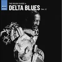 Ginza.se Rough Guide To Delta Blues