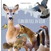 Stan är full av djur