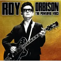 Ginza.se Orbison Roy: The powerful voice