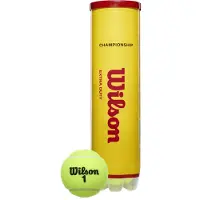 Wilson - Championship Extra Duty 4TBALL