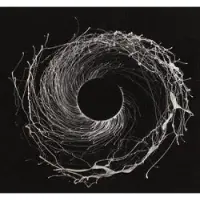 Konkurrent Dawn of Midi: Dysnomia