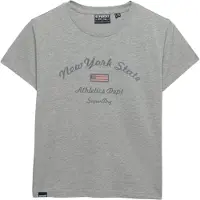 Superdry T-shirt 'ATH ESS' grå / gråmelerad / röd