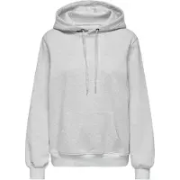 ONLY Sweatshirt 'ONLDaze' ljusgrå