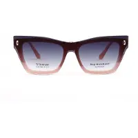 Ana Hickmann Sunglasses Clip AH6565GT H01G 54