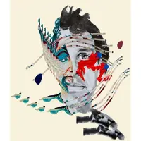 Domino Animal Collective: Painting With