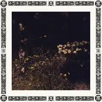 Konkurrent Davachi Sarah: Pale Bloom