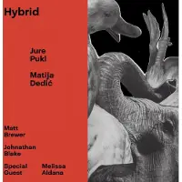 Ginza.se Pukl Jure & Matija Dedic: Hybrid