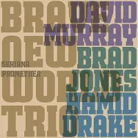 Import Murray David / Brad Jones / Hamid D: Seriana ...