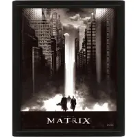 Ginza.se The Matrix: (Lightfall) Framed 3d
