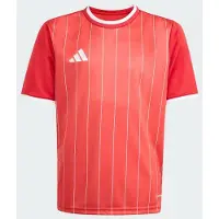 Adidas Entrada 26 Tröja med grafik för barn, storlek 104 cm