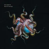 Konkurrent Chatwin Ben: Heat & Entropy