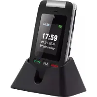 Sponge Artfone C10 Flip Senior Telefon