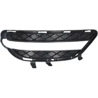BLIC Ventilationsgaller, stötfångare 6502-07-3500913P