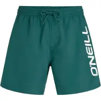 O'Neill Logo 16'' Boardshorts botanical heat Storlek XL