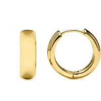 Luxenter Luxenterörhängen i 18 karat gult guld - Apruk