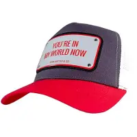 John Hatter & Co You Are In My World Now Keps