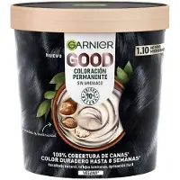Garnier Good Permanent Färg #1.10-svart 217 ml