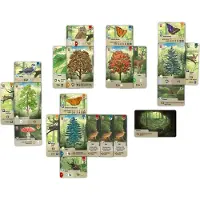 Asmodee blandat skogsspel