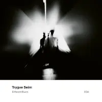 Ginza.se Seim Trygve: Different rivers 2000