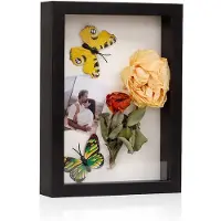 24hShop Ram för torkade blommor A4 - Svart