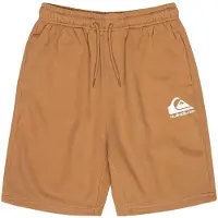 Quiksilver Easy Day Youth Sportshorts