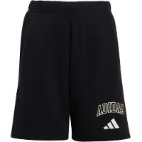 Adidas Seasonals Collegiate Typography Shorts