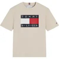 Tommy Hilfiger Flag Logo Jersey Crew Neck T-Shirt