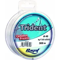 TORTUE Trident Monofilament 300 M
