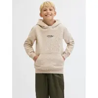 Jack & Jones Hoodie - Noos - JjeSoho - Moonbeam m. Logo - - 8 år (128) - Hoodie