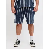 Jack & Jones St Jaiden Coba Striped Jogger Plus Size Shorts