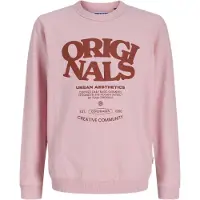 Jack & jones Junior Sweatshirt rosa / rubinröd