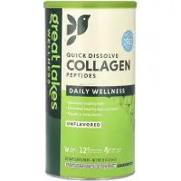 Great Lakes Wellness , Snabbupplösande Kollagenpeptider, Daglig Välbefinnande, Osmakrydd, 16 oz (454 g)