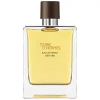 Hermès Paris Terre D'Eau De Toilette Spray fr mn 3,4 ounce (vanlig lda)