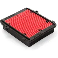 Hiflofiltro Luftfilter - HFA1933 (kräver två filter)
