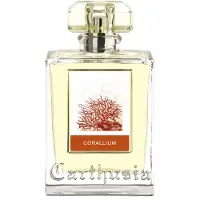 Sonstige Verlage Corallium Eau de Parfum Spray 50ml