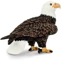 Safari Ltd. Bald Eagle Figurine - Realistisk 2,4" fgelfigur - Pedagogisk leksak fr pojkar, flickor och barn i ldrarna 3+